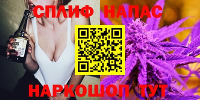 спайс Гай