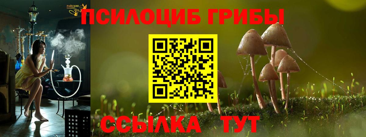 Нерюнгри  Галлюциногенные грибы GOLDEN TEACHER  Вход с VPN 