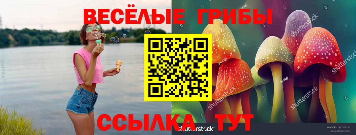 Псилоцибиновые грибы ЛСД Нерюнгри